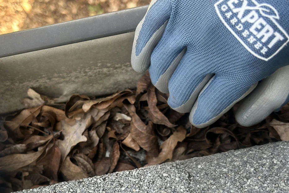 Gutter Cleaning Meridian Hills