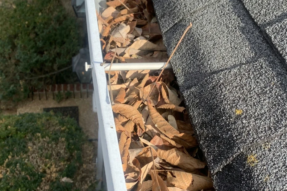 Gutter Cleaning Meridian Hills