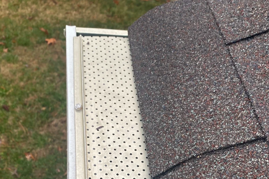 Gutter Cleaning Meridian Hills