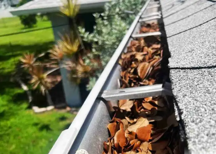 Gutter Cleaning Meridian Hills home page